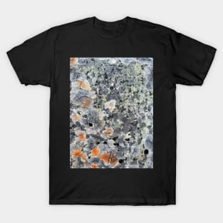 Patchy Stone T-Shirt